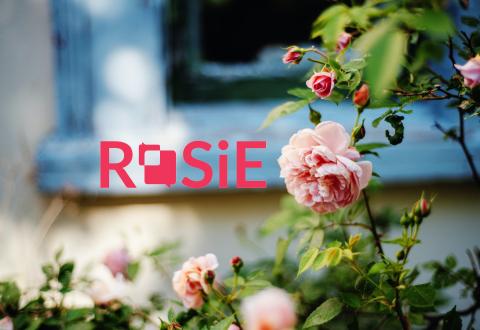 ROSiE-hankkeen logo, jonka taustalla on kuvituskuva ruususta.