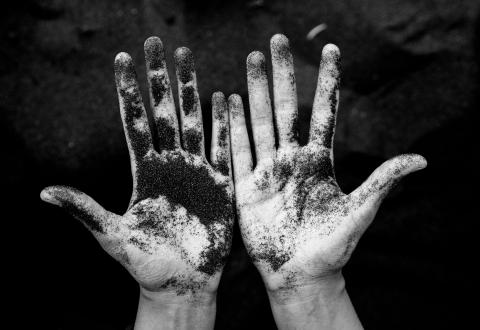 Illustration. Hands on dirt. 