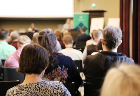 AVOTT-kesäpäivien yleisöä vuodelta 2024. 