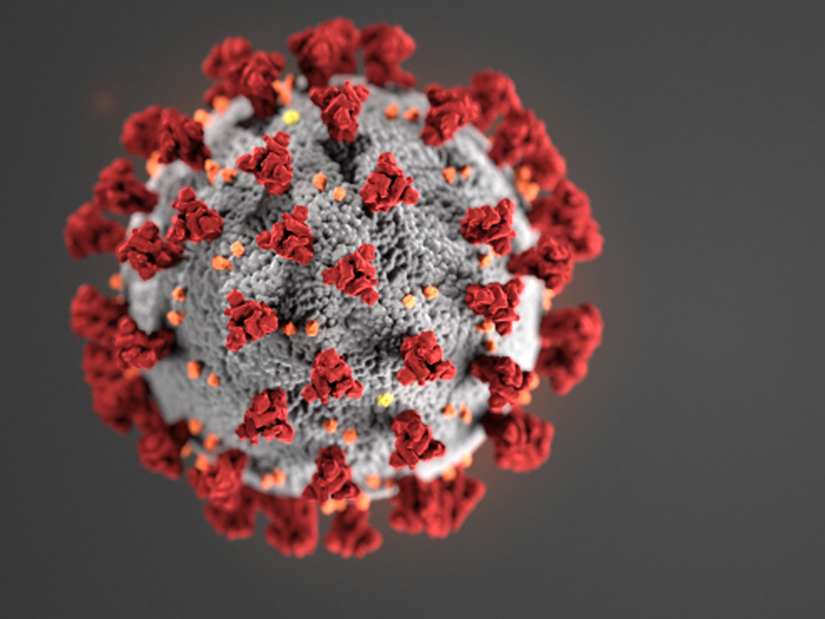 Corona virus.